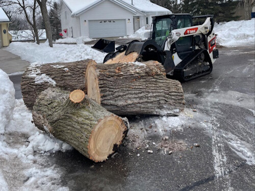 Tree Stump Removal Afton, MN